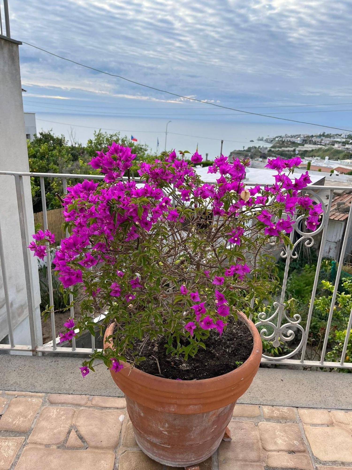 Hébergement de vacances Chez Marie